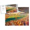 Fir Park Stadium Fine Art Jigsaw Puzzle - Motherwell FC Fir Park Stadium Fine Art Jigsaw Puzzle - Motherwell FC